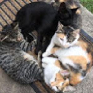 Meet your Posher, Nikhat